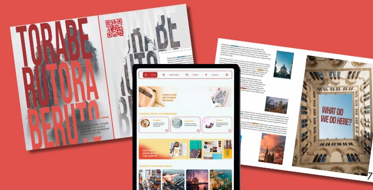 proyecto toraberu revista